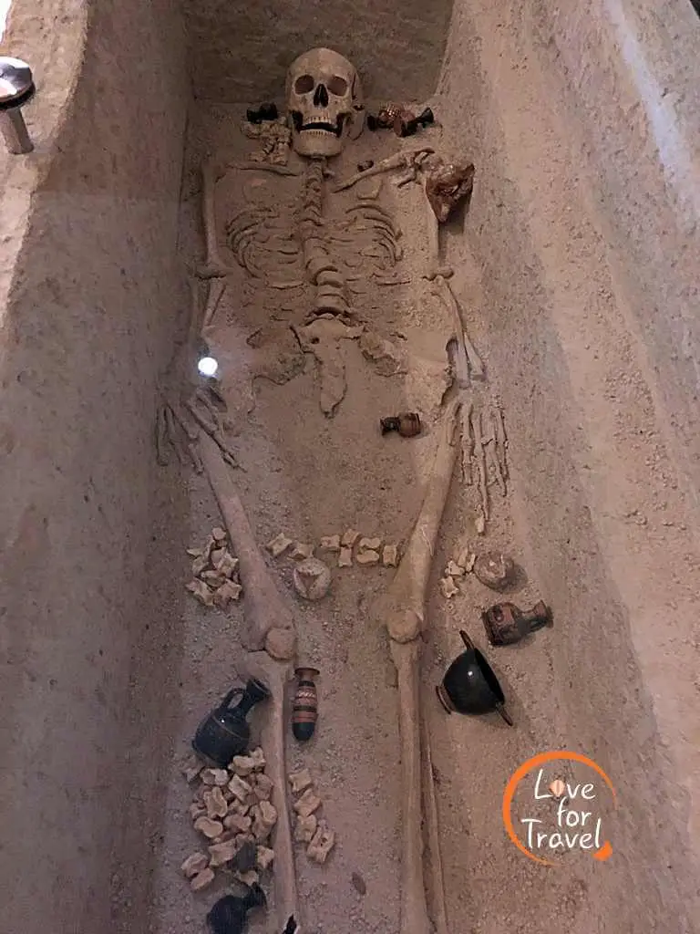 Σκελετός - Επίσκεψη στο αρχαιολογικό μουσείο Πέλλας