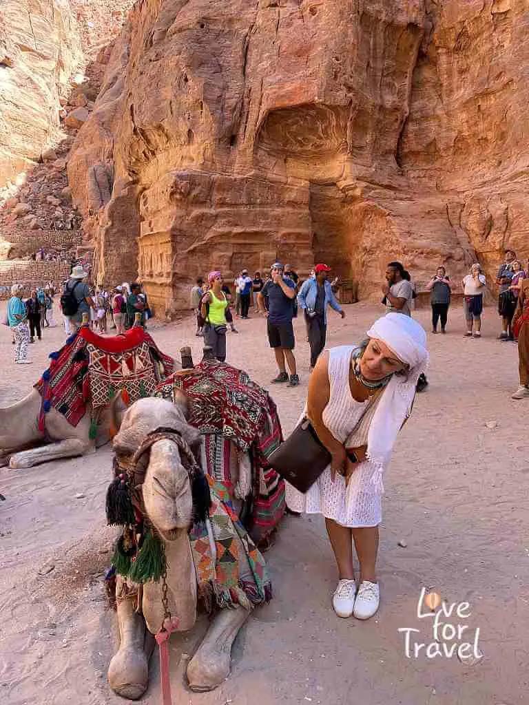 Καμήλα - Πέτρα Ιορδανίας Αξιοθέατα